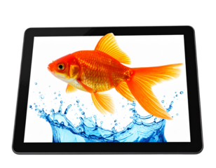 Aquarium Fish Leaping Out of a Digital Screen with Water Splash, Transparent PNG