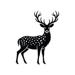 Fototapeta premium Fawn or Reindeer vector with Antlers - Black and White 