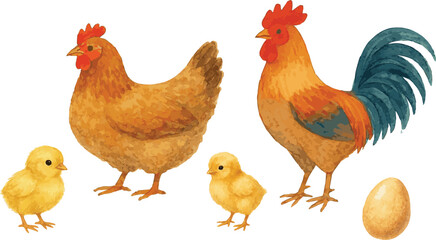 Collection of Vector adorable watercolor illustrations of chicken family with a baby chicken, hen, rooster and an egg