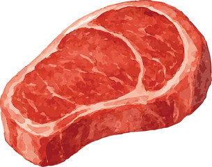 A watercolor vector of a piece of meat