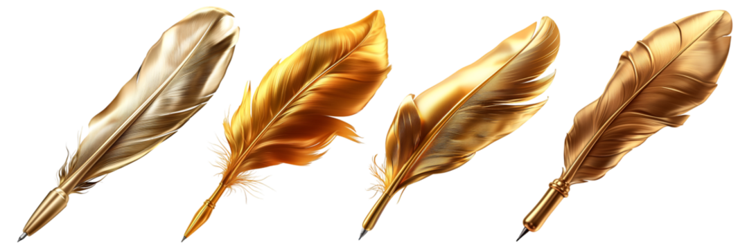 Golden and bronze decorative feathers set element, on transparent background