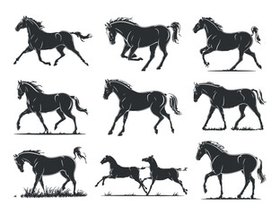 Horse Silhouettes Collection Vector Illustration for Equestrian, Animal, and Wildlife Related Designs