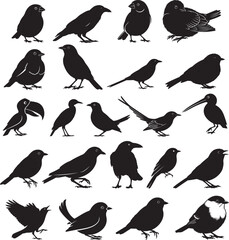 Fototapeta premium Bird Silhouettes Vector Icon Set. Collection of Various Isolated Birds Graphic