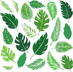 Naklejka premium Vector Illustration of Tropical Green Leaves.