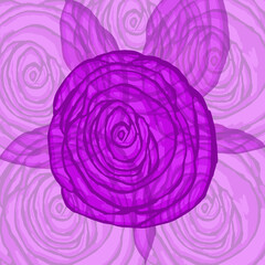 Purple Rose Pattern