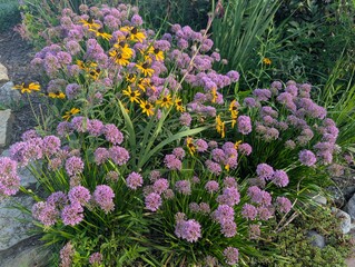 Obraz premium flowers in the garden
