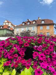 Flores com casas europeias na cidade de Varsóvia na Polonia.