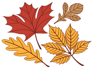 Autumn leaves vector illustration featuring colorful red, yellow, and brown fall foliage for seasonal decorations and nature design projects