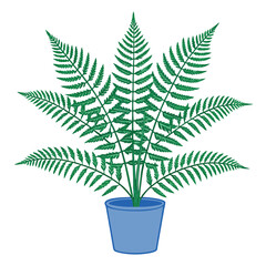 Green fern plant in a blue pot