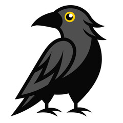 crow on a white background