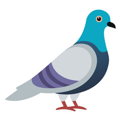 pigeon on blue
