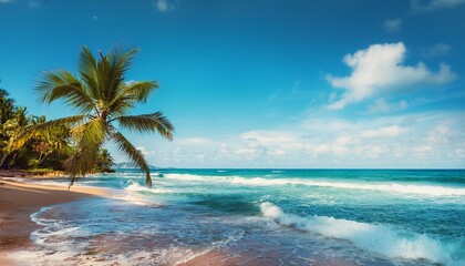tranquil tropical scene with waves and a palm tree
