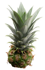 pineapple isolated on white background