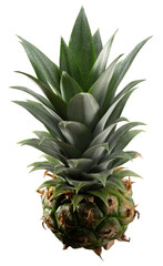 pineapple isolated on white background