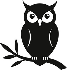 owl on white background