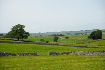 Fototapeta premium Magpie Mine, The Peak District, England – August 6 2025: Rolling green fields and dry stone walls in summer light at Magpie Mine in the Peak District, England.