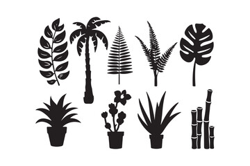 Collection of black silhouette tropical plants and leaves