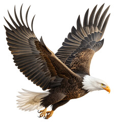 Obraz premium Majestic Bald Eagle in Flight – High-Resolution Digital Illustration