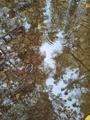 A puddle of water that is sitting on the ground