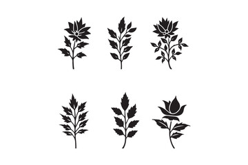 Collection of six black botanical silhouettes on white background