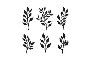 Six stylized black botanical branch silhouettes on white background