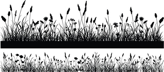 Wild Grass and Meadow Silhouettes. Vector Illustration of Nature, Plants, and Flowers. Black Silhouettes of Grass Borders, Meadow, Field, Herbs, and Weeds Isolated on a White Background.