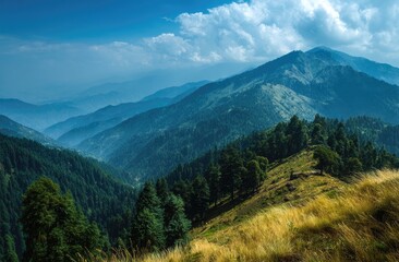 Obraz premium Panoramic view of layered, hazy blue mountains under a partly cloudy sky. Lush green coniferous forests cover lower slopes; golden grass blankets foreground