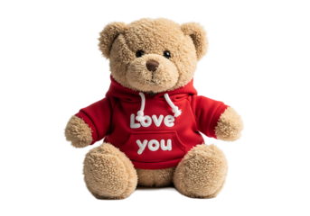 Teddy bear wearing a red hoodie with the words love you printed on the front