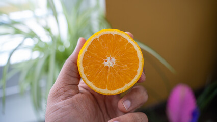 Hand orange fruit food health diet vitamin citrus fresh juice hold offer choice lifestyle snack...
