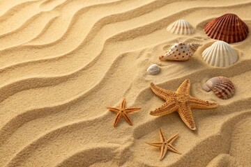 Obraz na płótnie Canvas Top view of a sandy beach texture with imprints of exotic seashells