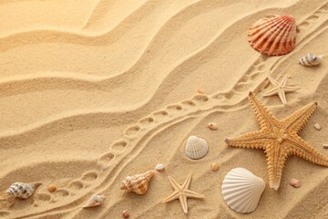 Obraz na płótnie Canvas Top view of a sandy beach texture with imprints of exotic seashells