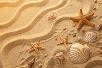Obraz na płótnie Canvas Top view of a sandy beach texture with imprints of exotic seashells