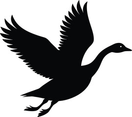 silhouette of a pigeon