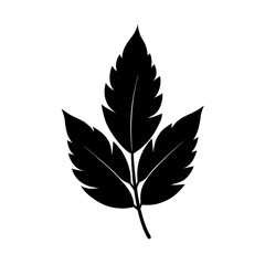 leaf silhouette vector