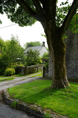 Sheldon, The Peak District, England – August 6 2025: A beautiful lush green country lane with historic stone walls and a charming cottage in the Peak District.