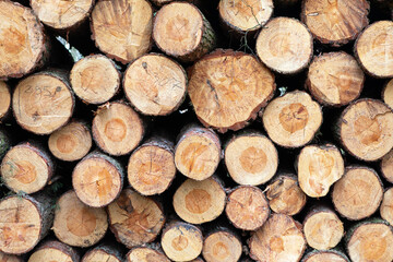 Stacked logs ready for transport at a lumberyard in the countryside