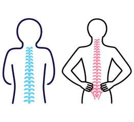 Human Spine Anatomy Diagram - Back Vertebral Column Medical Health Education Vector Illustration Set