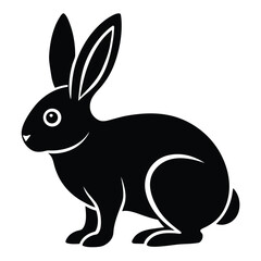 rabbit vector icon
