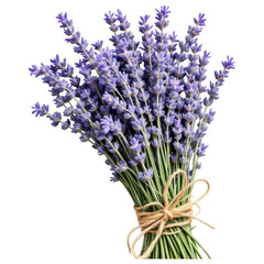 Fototapeta premium Lavender Bouquet: A vibrant display of fragrant lavender flowers bound together with natural twine, a close-up shot showcasing their vivid hues and intricate details.