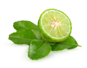 Bergamot kaffir lime leaves herb fresh ingredient isolated on transparent.