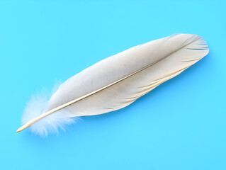 Obraz premium Delicate white feather lying softly against vivid blue background, highlighting minimalist elegance and textural contrast in serene visual composition