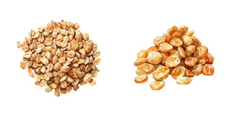 granola watercolor vector illustration