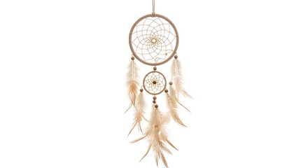 A hanging dreamcatcher with detailed threads, natural feathers, and soft pastel accents, drawn in a delicate and realistic style, isolated on white.

