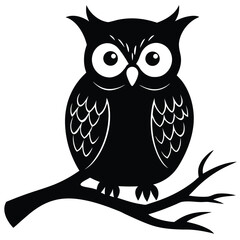 scared owl on tree branch