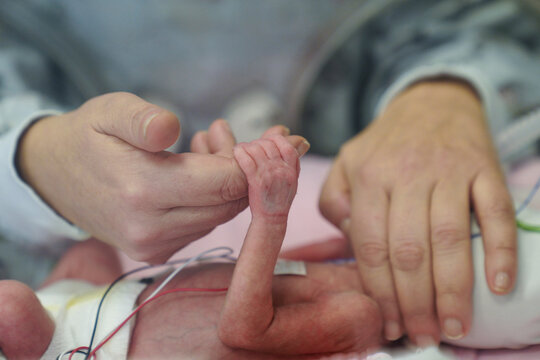 Premature baby holding parent's hand in NICU incubator, symbolizing love, care, support, medical technology, neonatal intensive care, hope, bonding, fragile life, healthcare and parenthood connection.