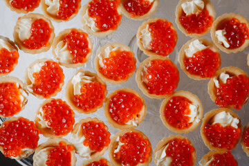 Elegant Red Caviar finger sandwiches on Display