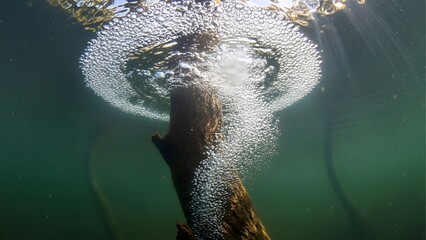 A dynamic high-speed macro shot of a clear water splash and bubbles against a dark, wet rock, creating a dramatic, high-contrast abstract.
