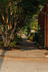 neighborhood sidewalk in Tangletown, Seattle, Washington