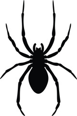black spider silhouette
