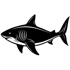 Fototapeta premium Black Silhouette of a Great White Shark marine life ocean